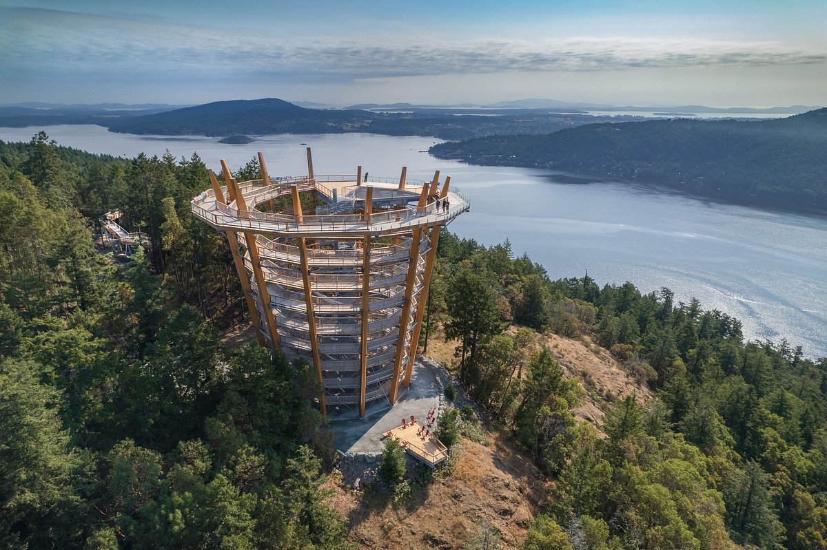 Malahat Skywalk & Castle Tour